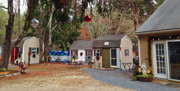 Morse Client Spotlight Its All About The Animals Featured