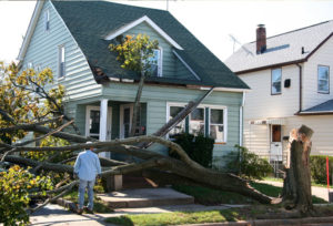 A photo of a fallen tree on a house
