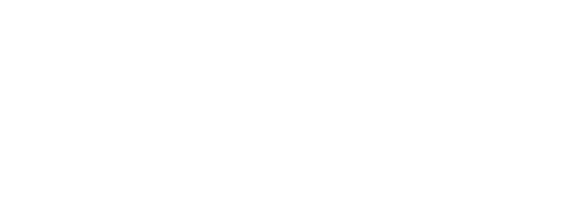 Patriot Group Insurance Services Logo Light